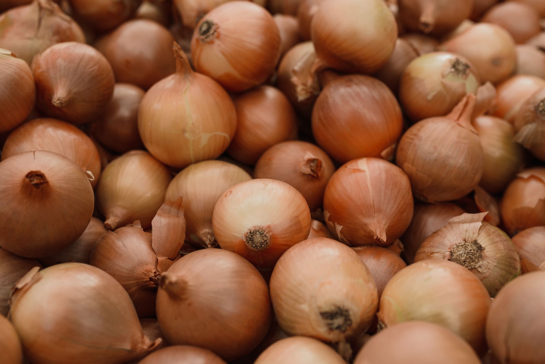 Fresh organic brown onions piled together showcasing natural texture in a close-up shot.