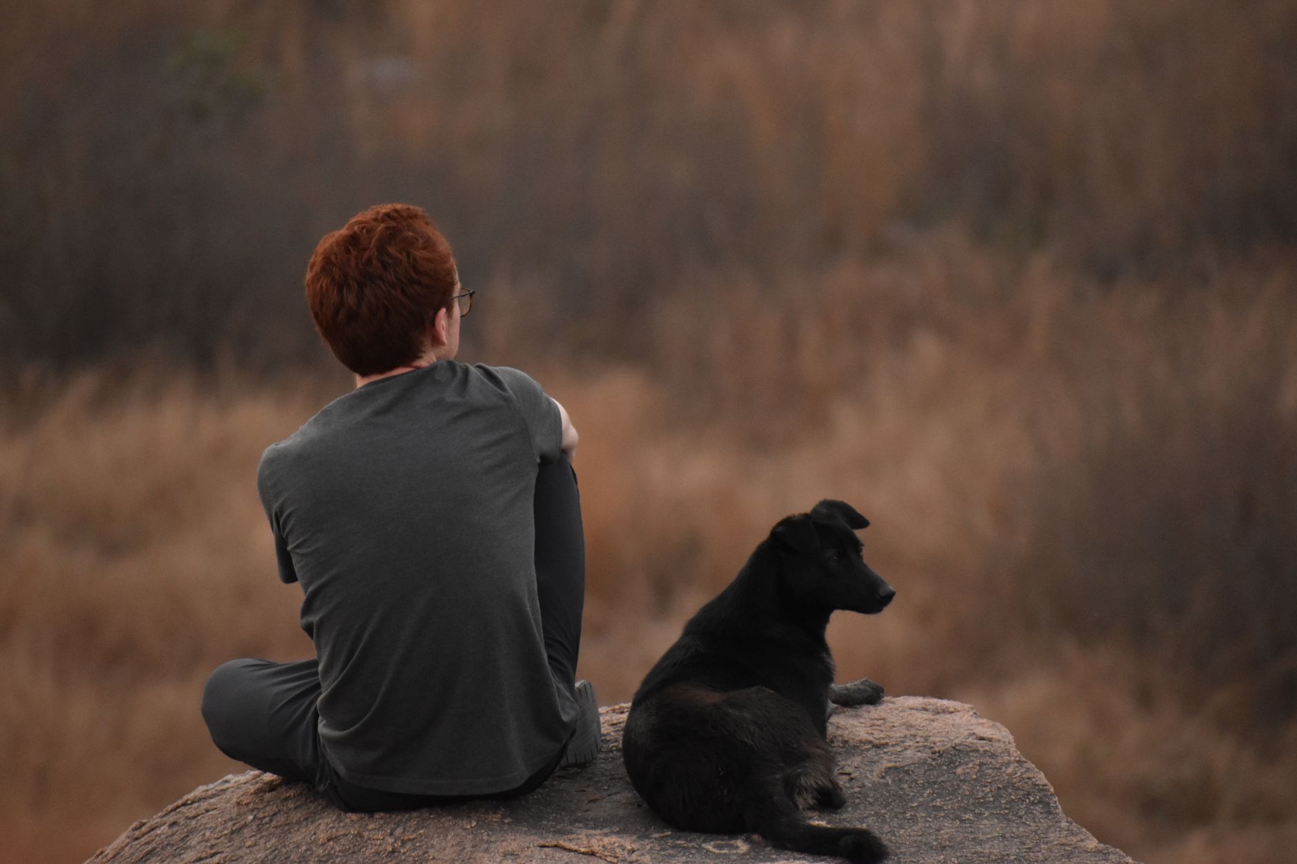 A person and a dog seated on a rock, gazing at the natural landscape, creating a contemplative mood.
