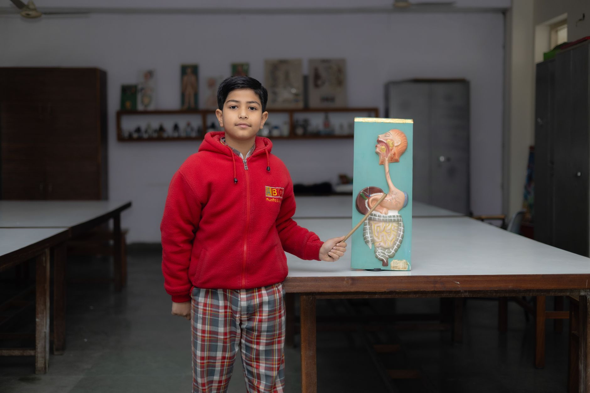 A young student in a classroom presenting an anatomical model, showcasing educational focus.